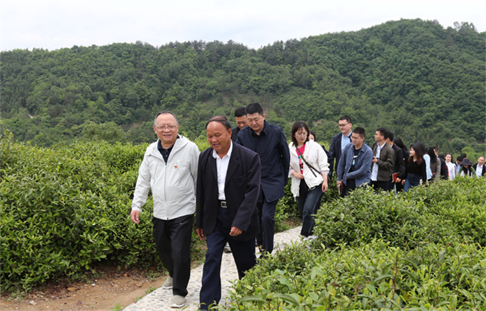 財(cái)信小貸公司“重走總書(shū)記視察之路”